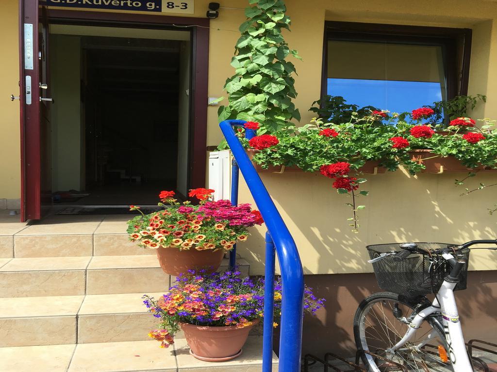 Apartamentai Viktorija نيدا المظهر الخارجي الصورة